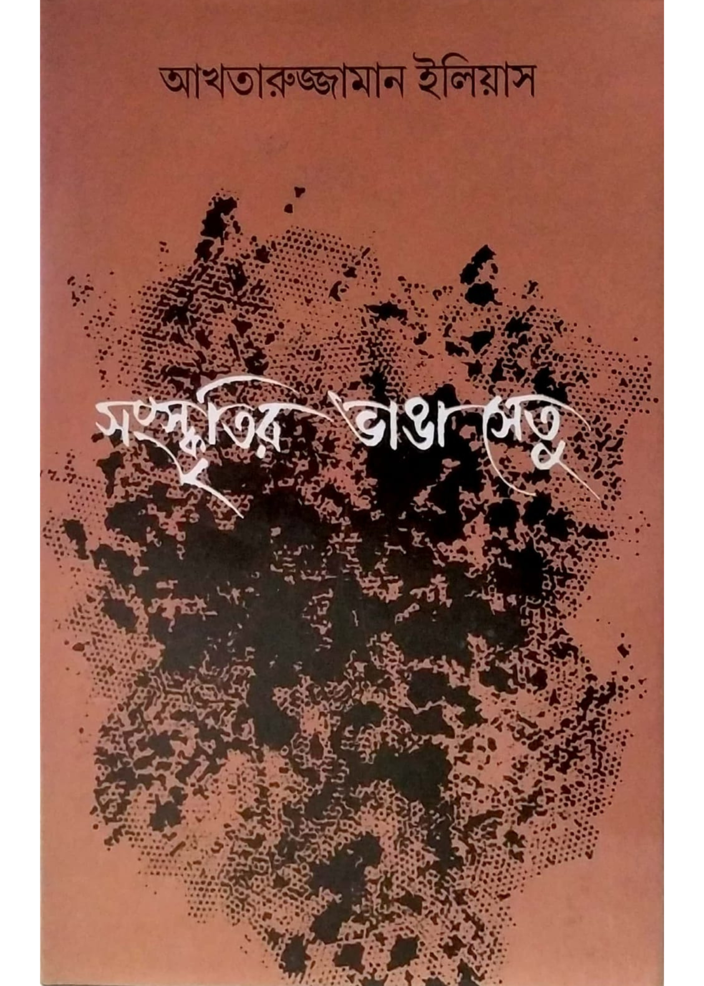 Sanskritir Bhanga Setu