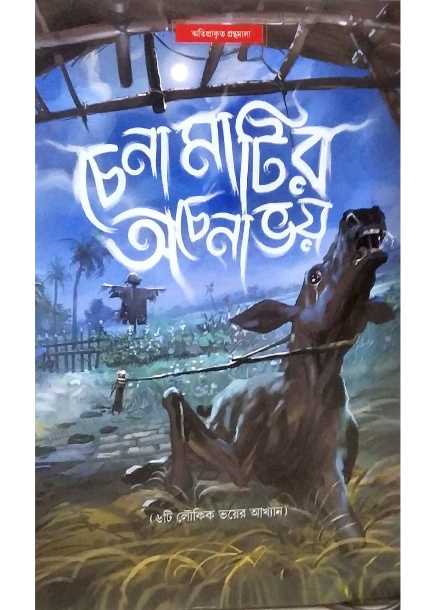 Chena Matir Achena Bhoy