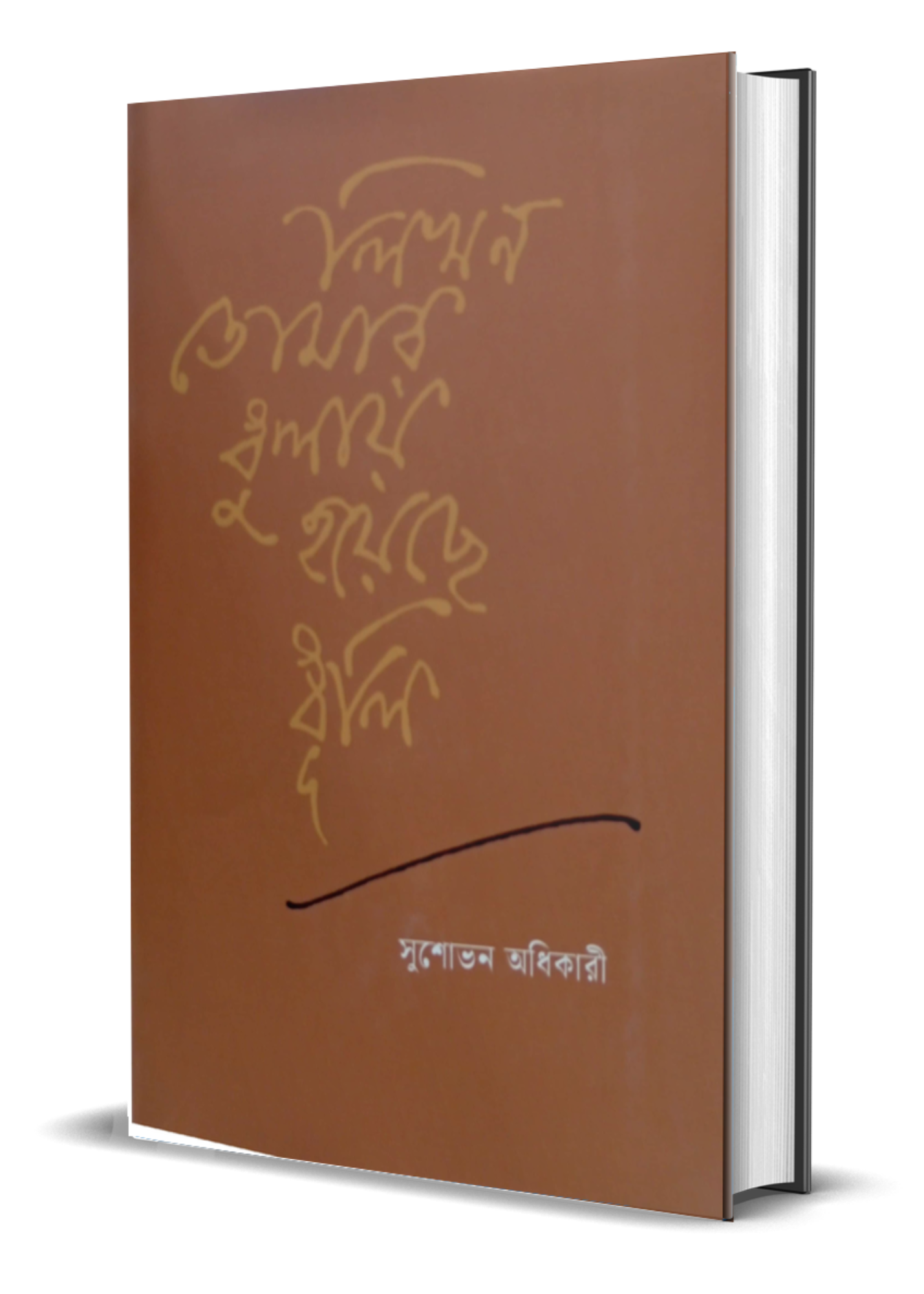 Likhon Tomar Dhulay Hoyeche Dhuli