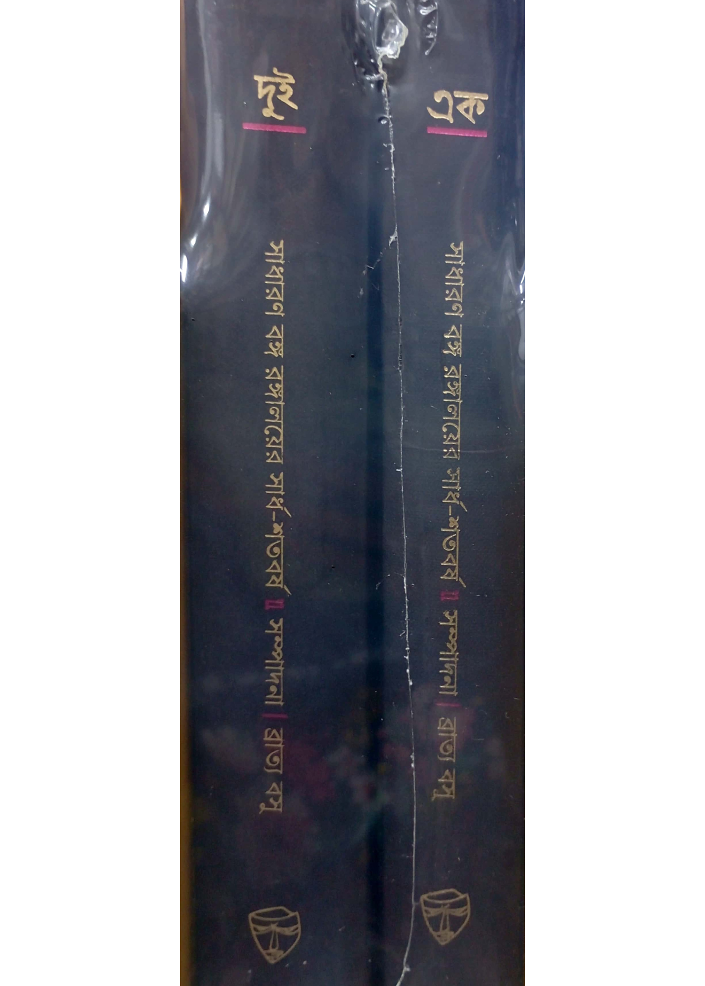 Sadharan Banga Rangalayer Sardha-Shatabarsha Vol. 1 & 2